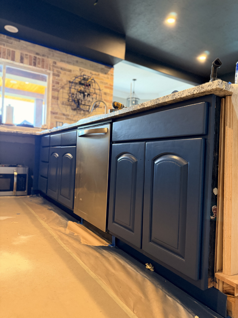 Cabinet Painting 4